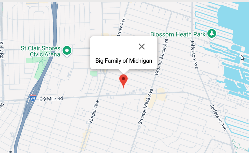 Big Family Of Michigan Location