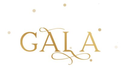 Big Family of Michigan Annual Fall Gala